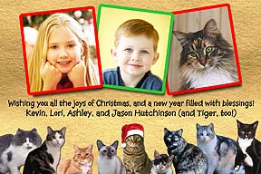 Cats Christmas Photo Card