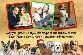 Dogs Christmas Photo Card