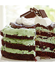 chocolate chip mint ice cream cake recipe