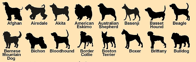 Dog breeds chart featuring choice of 75 dog breeds, with choice of keychain or necklace.