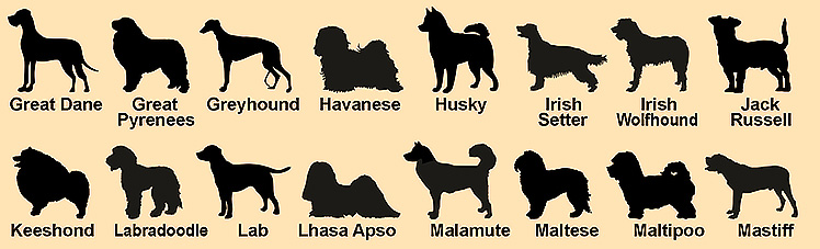 Dog breeds chart featuring choice of 75 dog breeds, with choice of keychain or necklace.