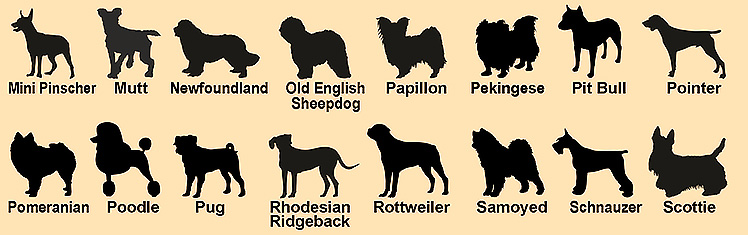 Dog breeds chart featuring choice of 75 dog breeds, with choice of keychain or necklace.