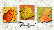 Folding Printable Fall Colors Thank You Cards