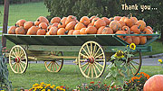 Folding Printable Pumpkin Cart Thank You Cards