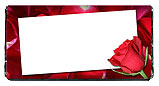Red Rose Chocolate Bar Wrapper