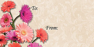 Teddy Christmas Gift Tag