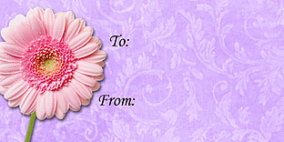 Penguin Christmas Gift Tag