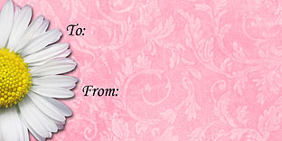 Snowman Christmas Gift Tag