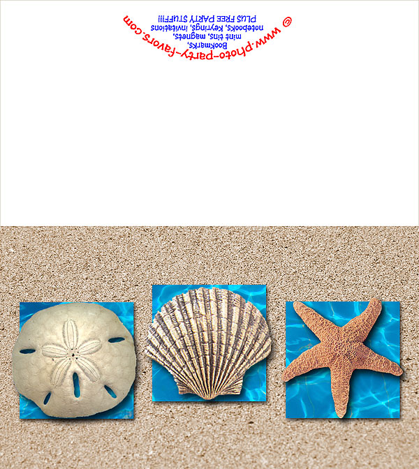 Seashells Note Card