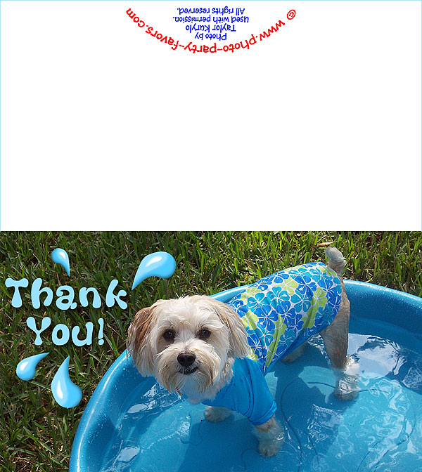 Free Printable Pool Puppy Thank You Card Summer Photo Contest Finalist